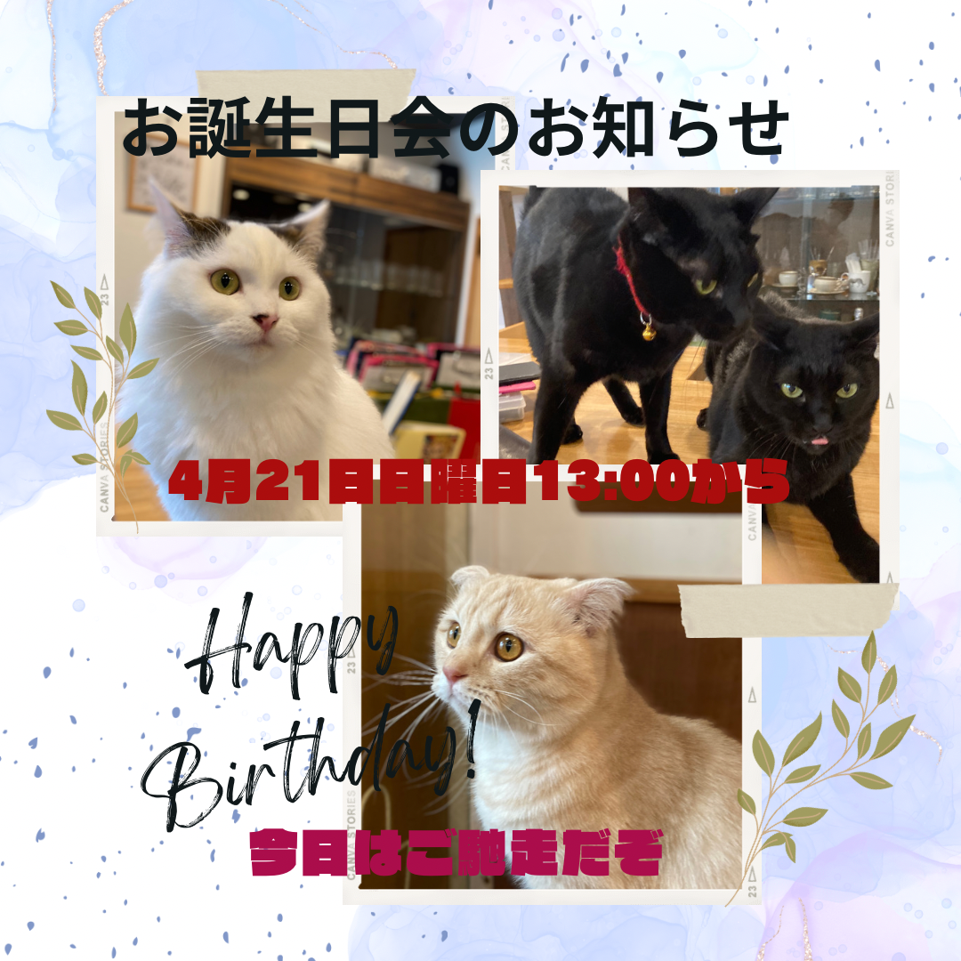 猫カフェ,誕生日