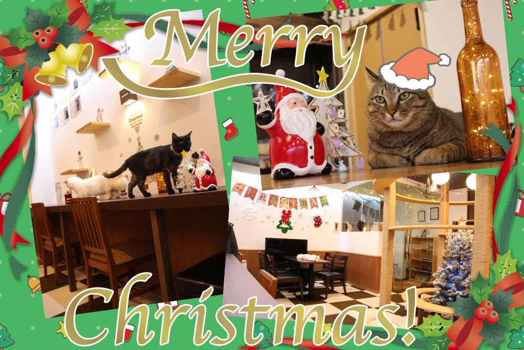 猫カフェ,クリスマス