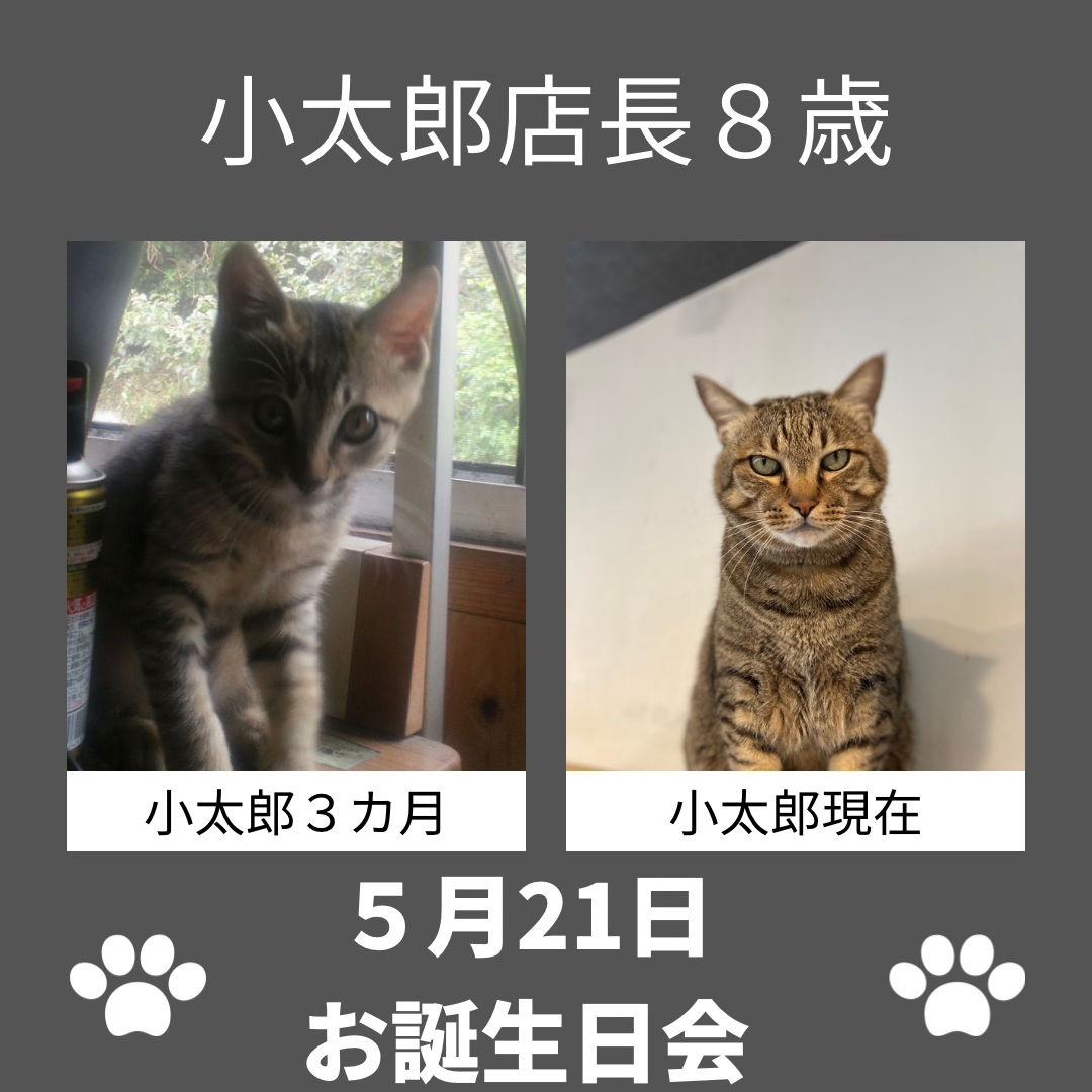 猫カフェ,誕生日