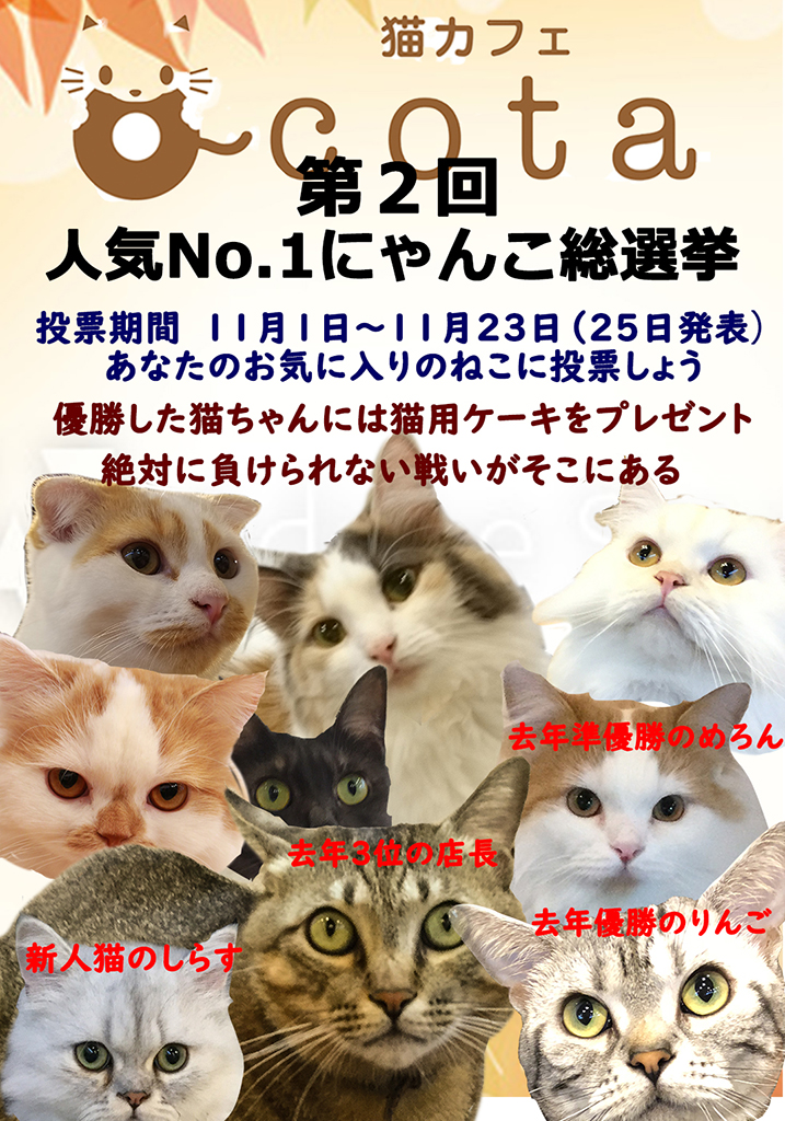 猫カフェ,人気投票