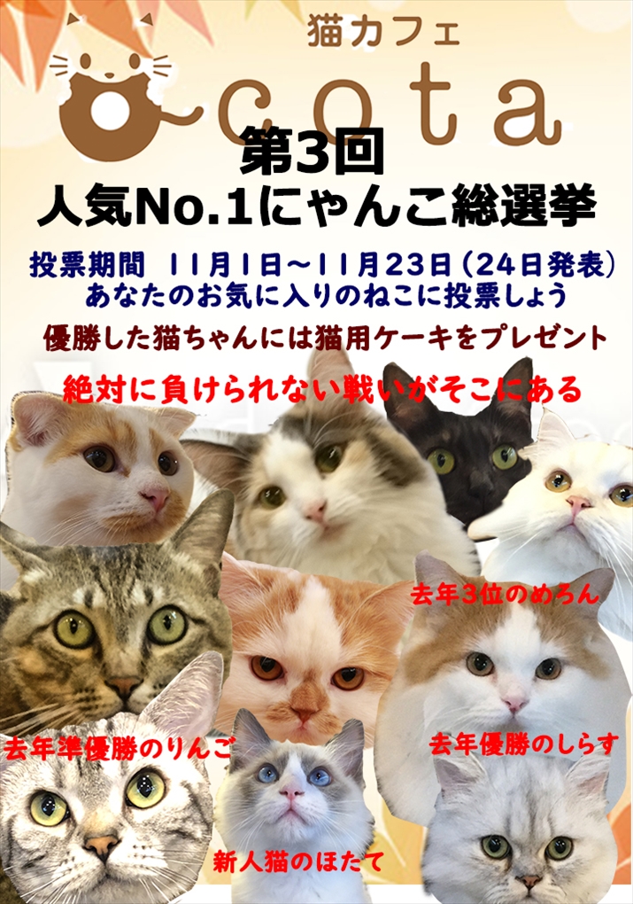 猫カフェ,人気投票