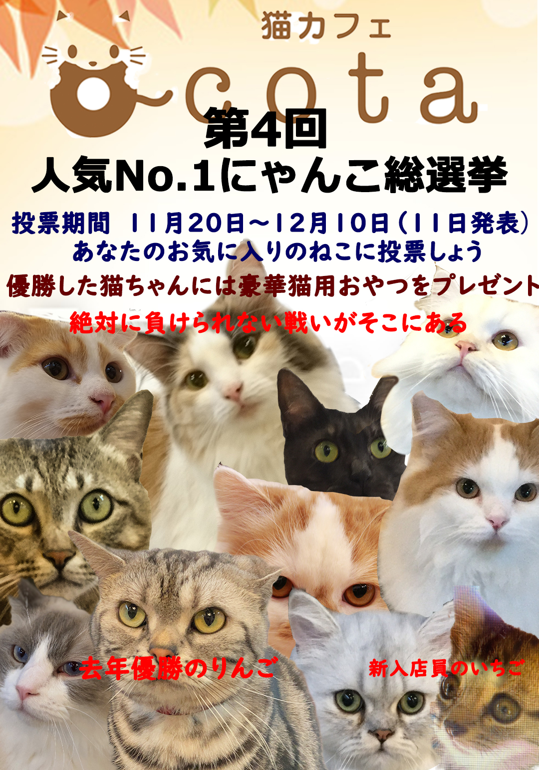 猫カフェ,人気投票