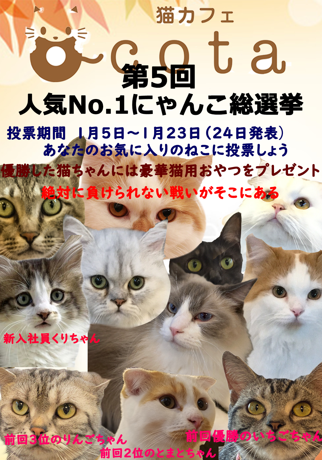 猫カフェ,人気投票