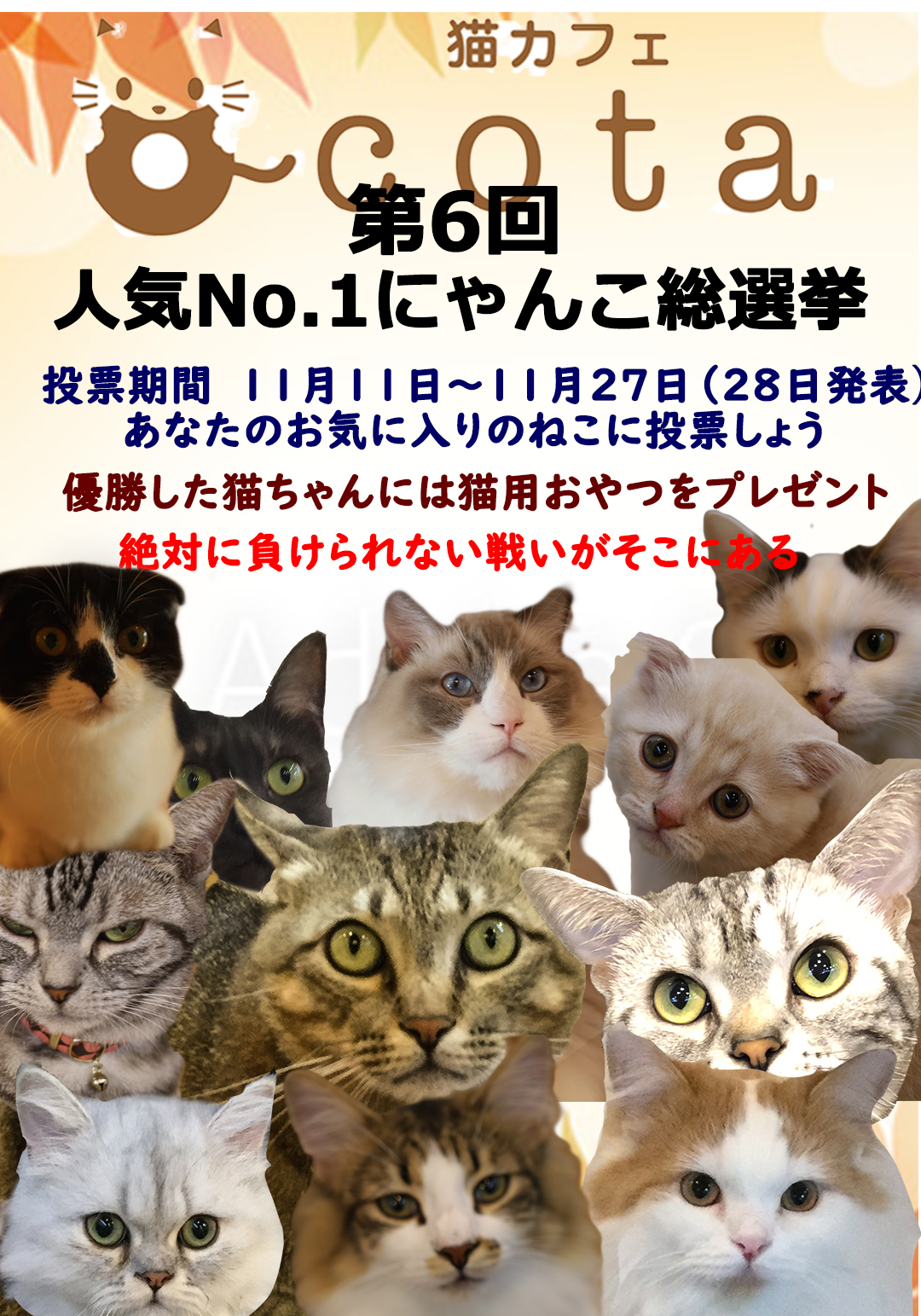 猫カフェ,人気投票