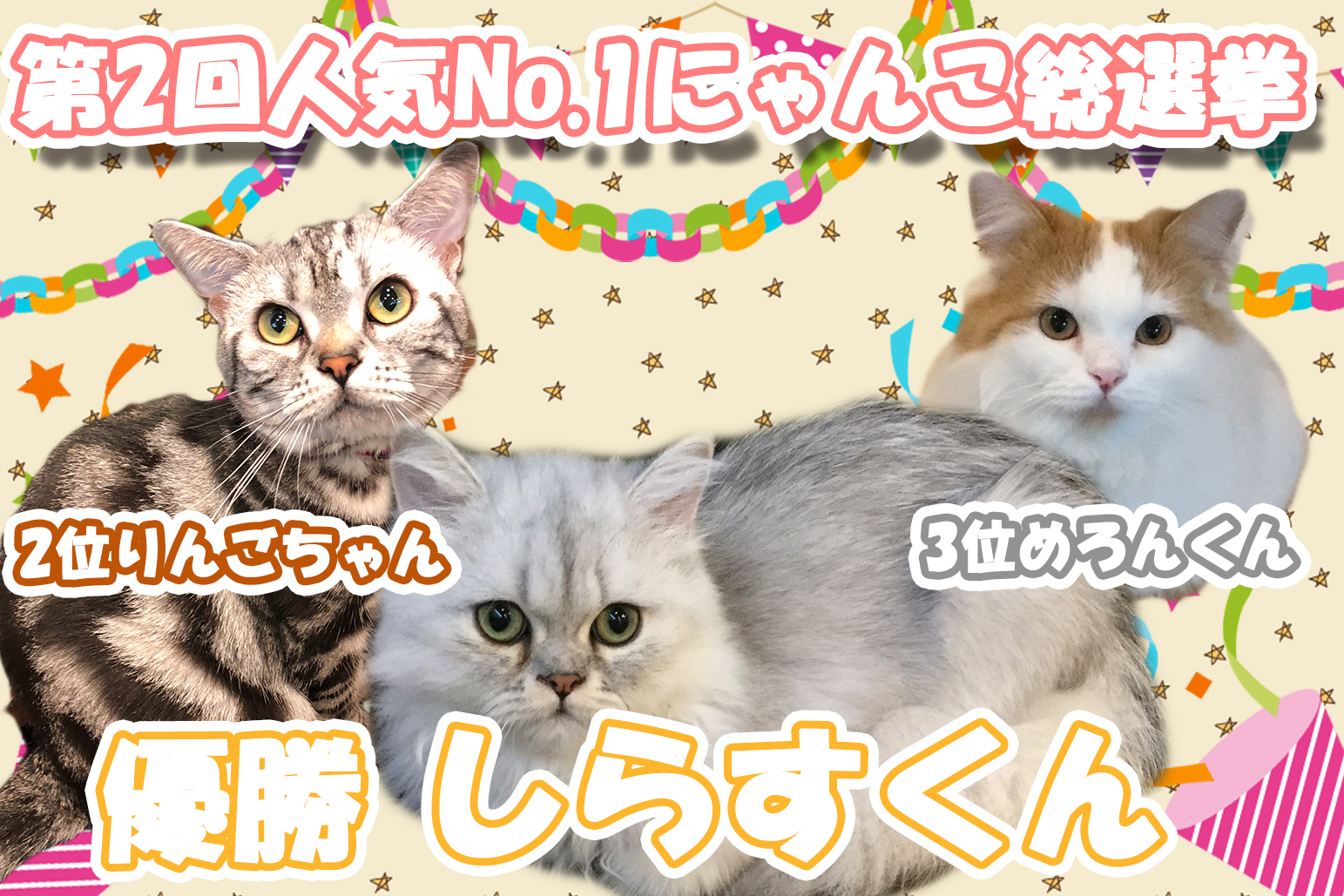 猫カフェ,人気投票