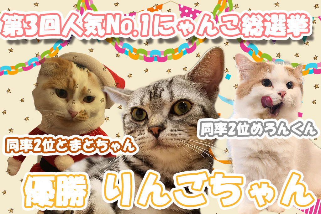 猫カフェ,人気投票