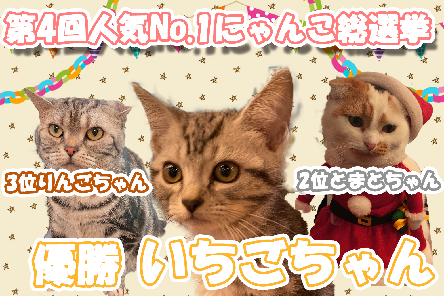 猫カフェ,人気投票