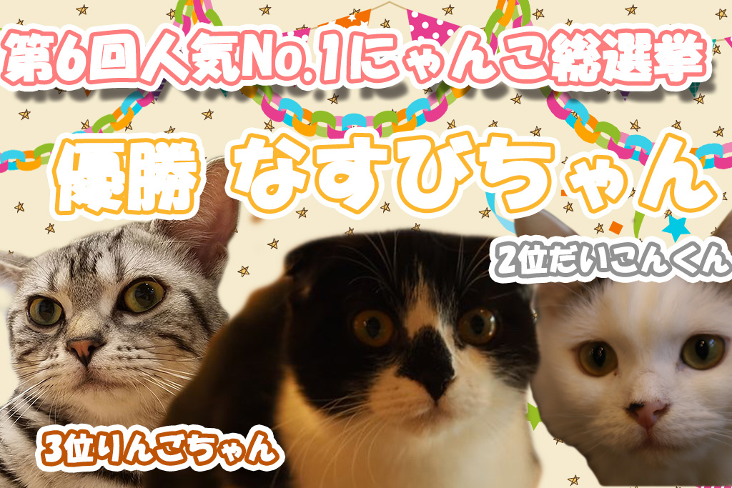 猫カフェ,人気投票