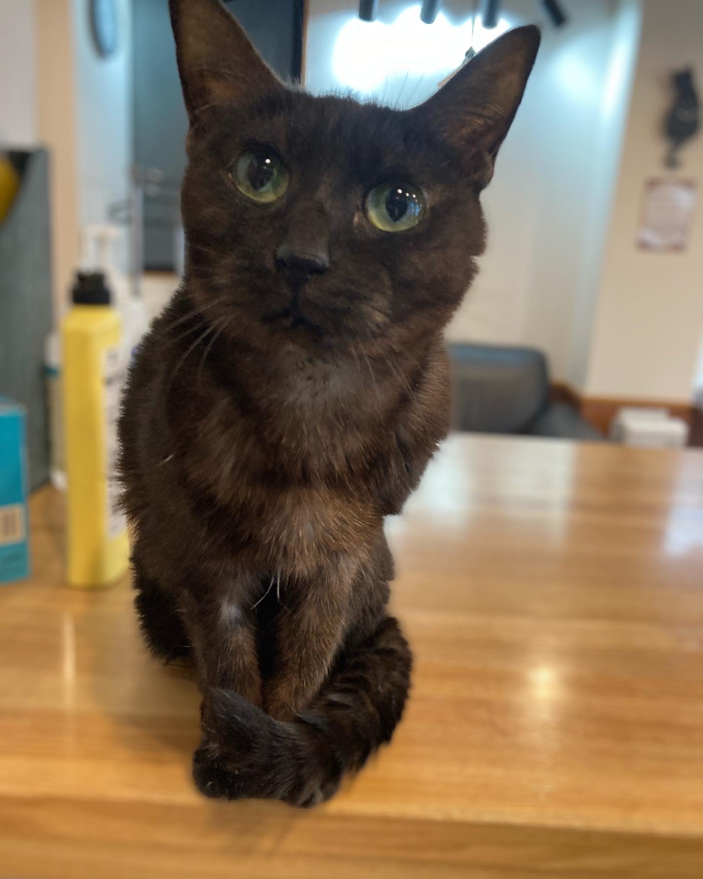 ゆかりさん遺影